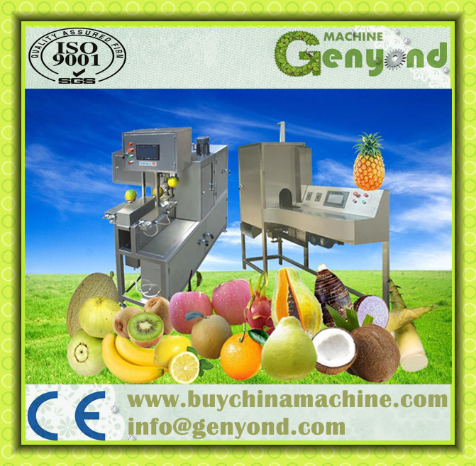 Automatica Fruit and Vegetables Peeling Machine