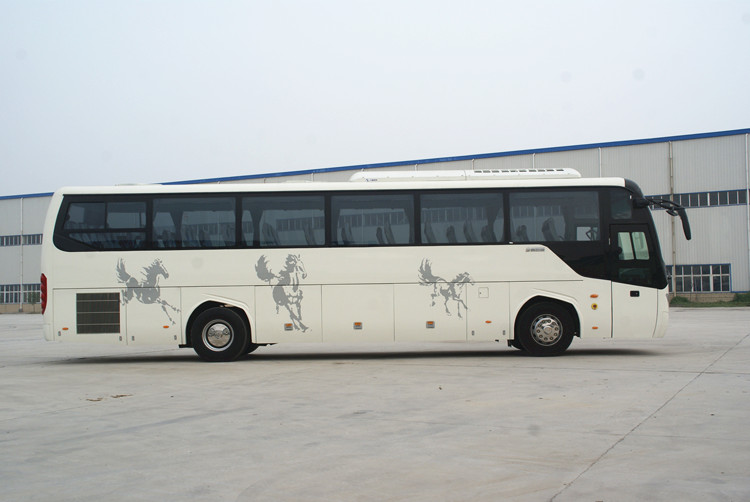 Low Price 12m 55 Seats Passenger Bus for Sale