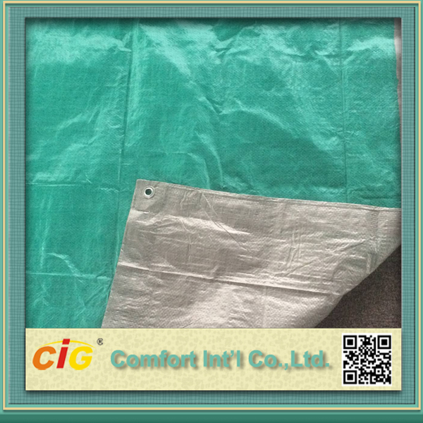 Strong Quality PE Tarpaulin for Advertisement Fabric