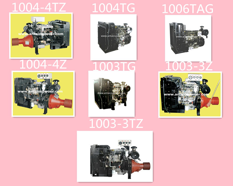 Lovol Engine for Stationary (1004-4TZ)