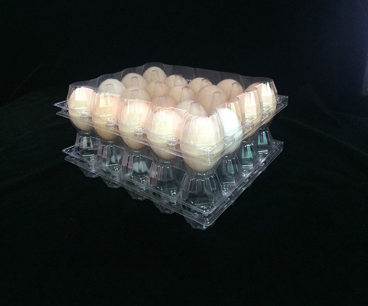 Factory Cheap Price Plastic Egg Packaging Tray ( 2 eggs)