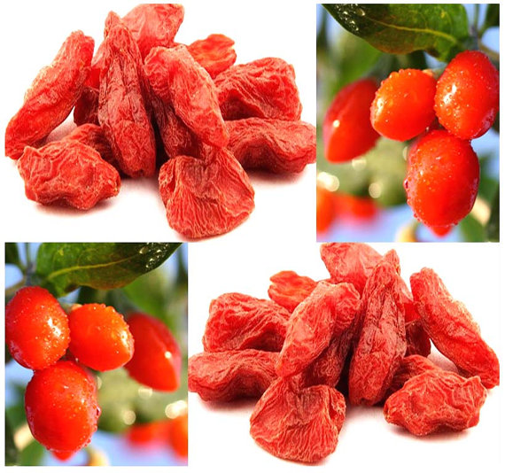 Super Quality Goji Berry, Low-Pesticide Goji Berry, Organic Goji Berry Fruit