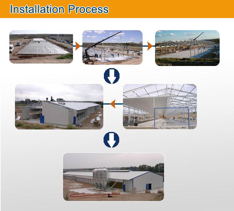 Light Steel Structure Poultry Farm Construction with All Prodution Equipment