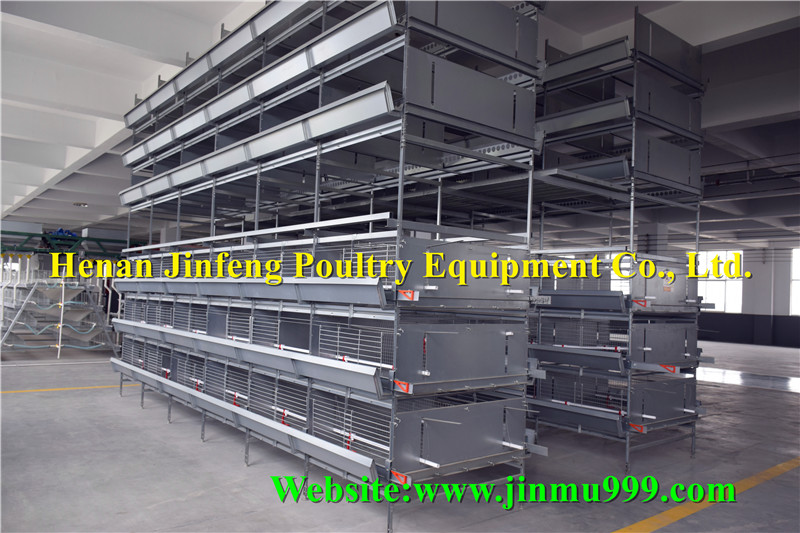 H Type Birds Chicken Cage Poultry Equipment Frame for Farm Use (JFW-08)