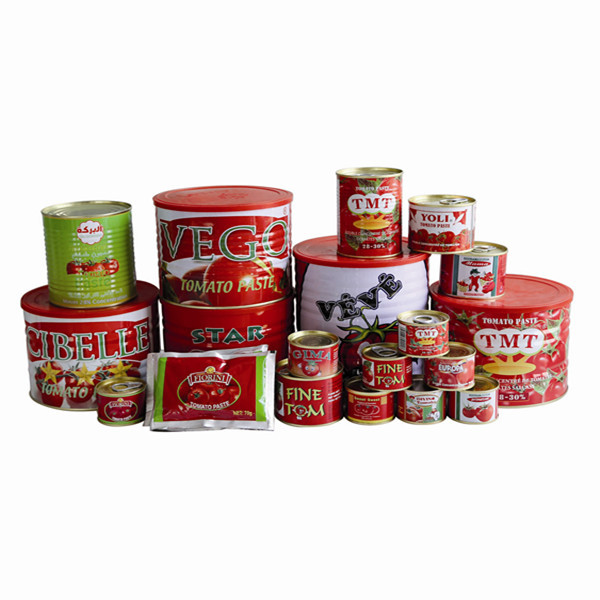 Healthy Canned Tmt Brand Tomato Paste of All Sizes From 70 G to 4.5 Kg in Bulk Price