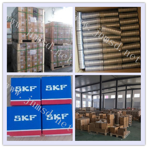 Rolling Bearing, SKF Bearing, Cross Rolling Bearing (XRE17020)