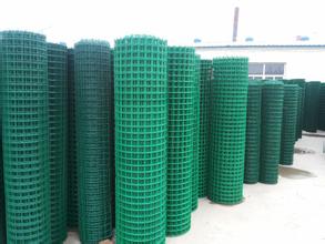 PET Plastic Coated Metal Wire Mesh for Sales