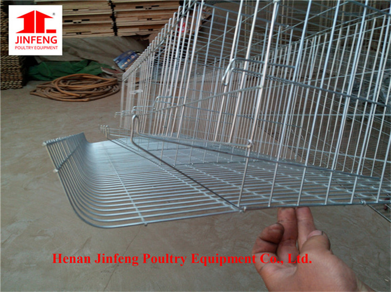 a Type Automatic Layer Chicken Poultry Equipment Frame for Farm Use