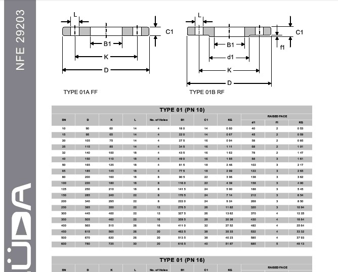 Nfe29203 Forging Flange