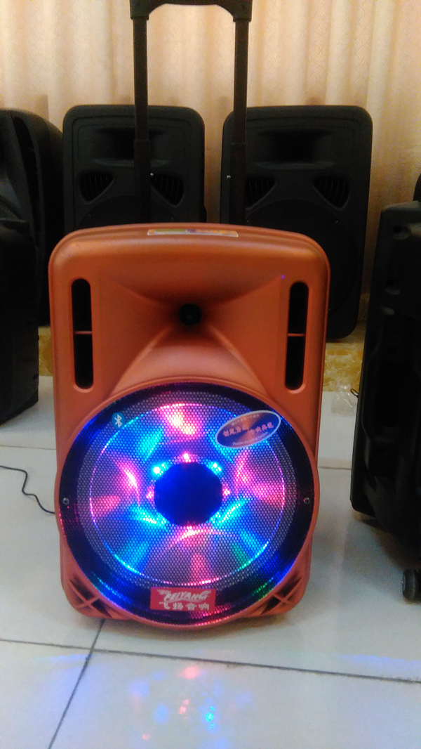 12 Inch Trolley Speaker Box with Big Power Bank Bluetooth FM F12-1