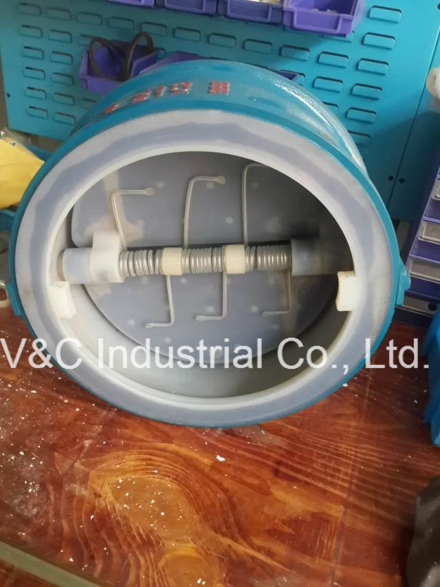 Ppa Liner Duo-Plate Check Valve