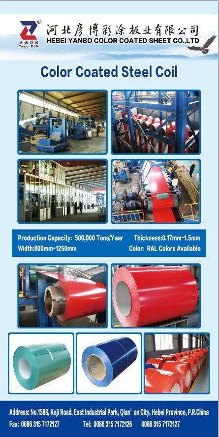 Prepainted Galvanised Steel Coil