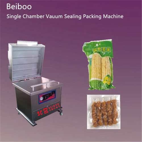 Floor Single Vauum Sealing Packing Machine RS600