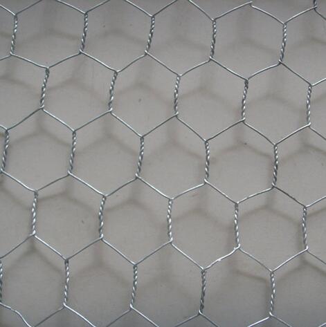 High Quality Hexagonal Wire Netting with Factory Price