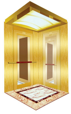 1350kg Mrl Home Lift with Golden Mirror Finish (XNK-009)