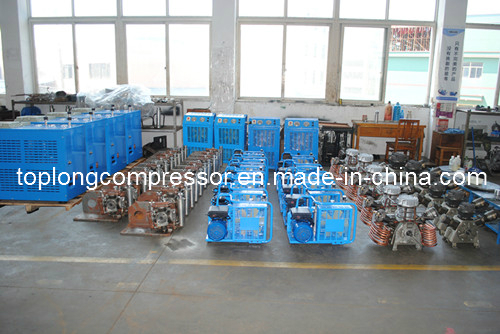 CNG Natural Gas Compressor Portable CNG Compressor CNG Compressor Price (BX6CNGB)