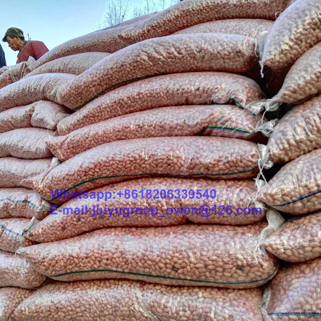 New Crop Health Food Top Quality Peanut Kernel 28/32