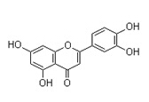 Manufacturer Supply Natural 98% Luteolin