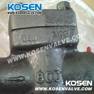 Forged Steel Y Type Check Valve (YH11)