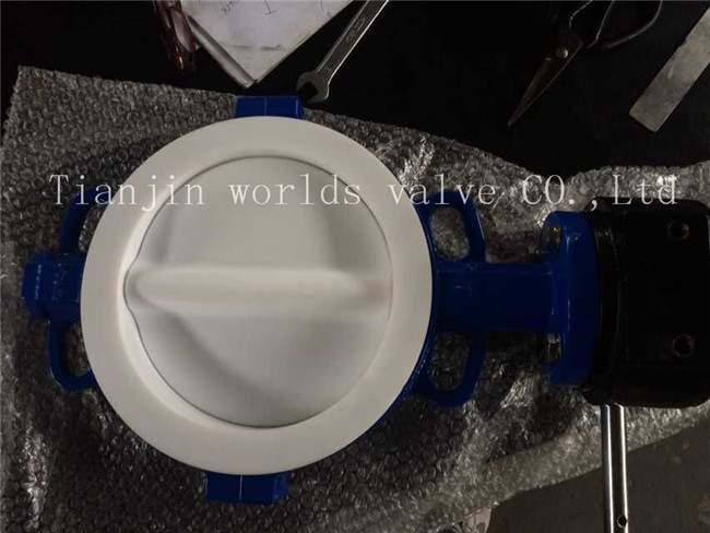 Full PTFE Coating Wafer Type Butterfly Valve with Ce ISO Wras Approved (CBF04-TA01)