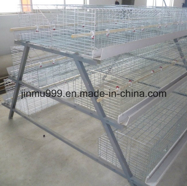 a Type Agriculture Machinery Chicken Cage From China