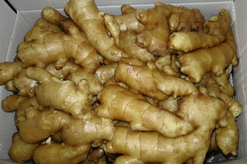 Air Dry Ginger, Fresh Ginger From China