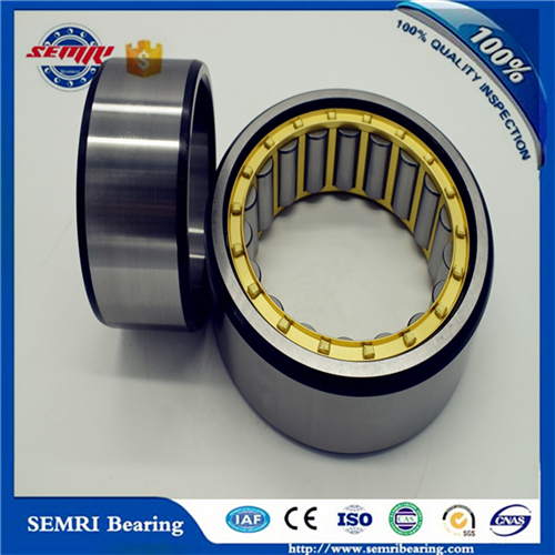 Chinese Manufacturer Semri Cylindrical Roller Bearing with High Quality and Cheap Price
