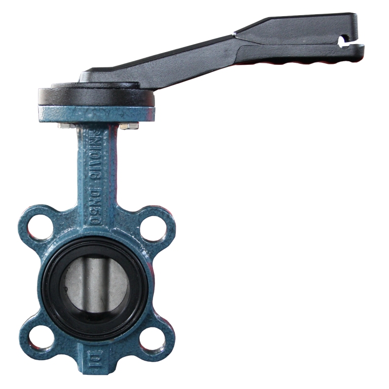 Bray Similar Stainless Steel Butterfly Valve (D37T1X-10/16)