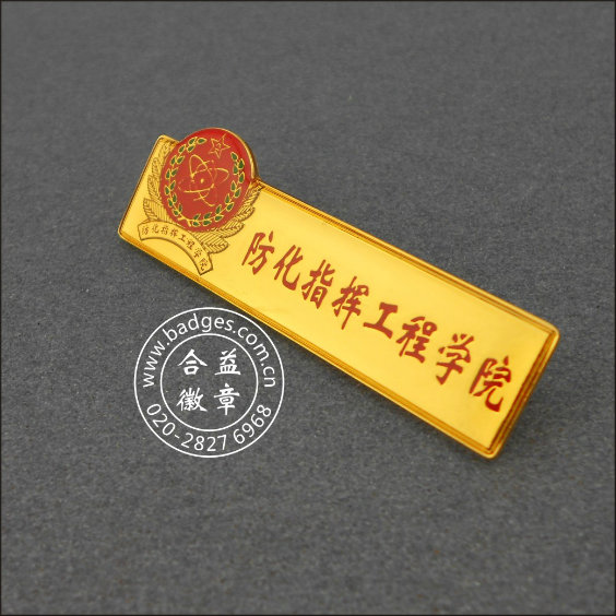 Students' Association Lapel Pin, Custom Badge (GZHY-LP-026)