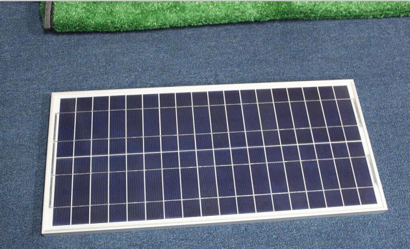 25W Mini Poly-Crystalline Solar Modules