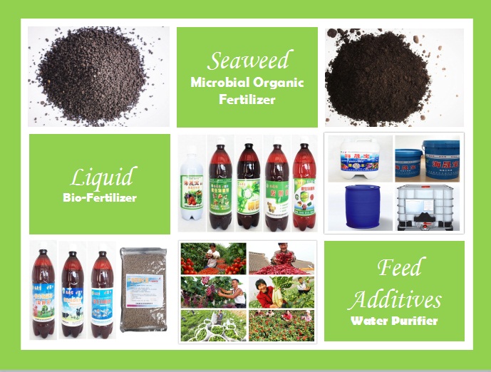 Microorganic Agent for Feed Additive