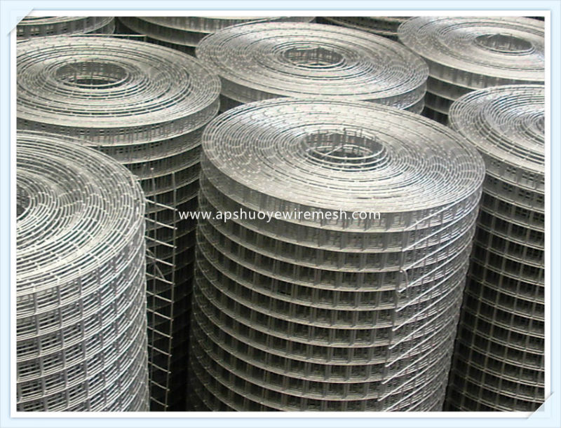 Low Carbon Steel 1X1 Inch Welded Wire Mesh (SGS)