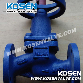 Cast Iron Bellow Seal Globe Valve (WJ41)