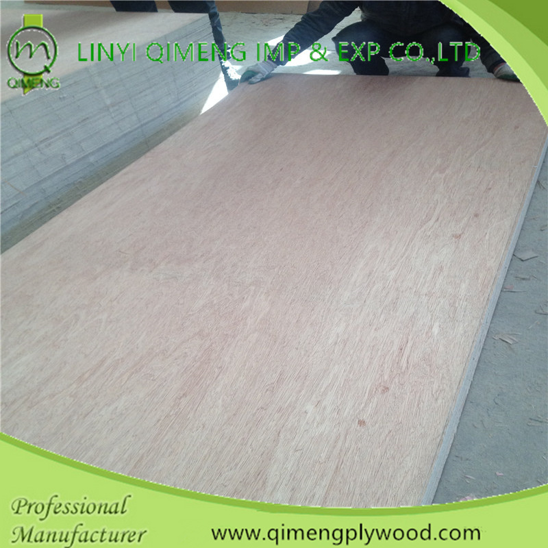 Poplar/Hardwood Core Bbcc Grade 12mm Bintangor Plywood with Cheap Price