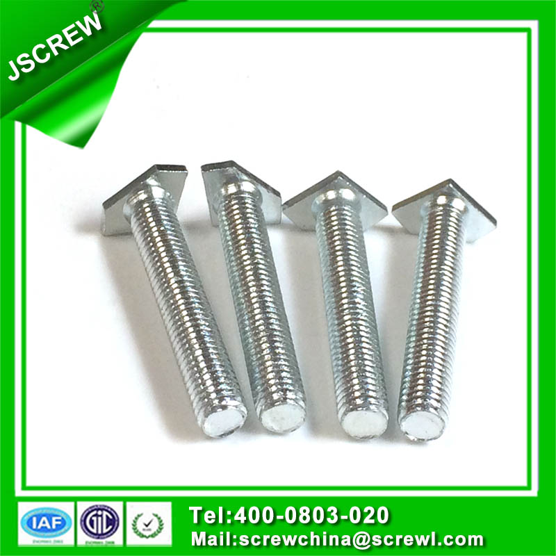 Non Standard Head Torx Screw