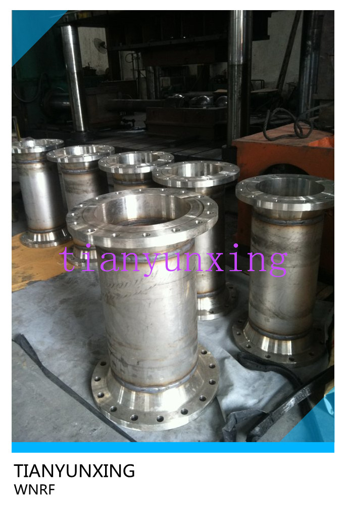 Stainless Steel Weld Neck RF Flange Fittings