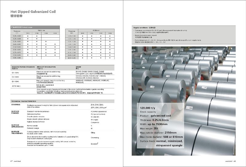 Hot Dipped Galvanized Steel Coil