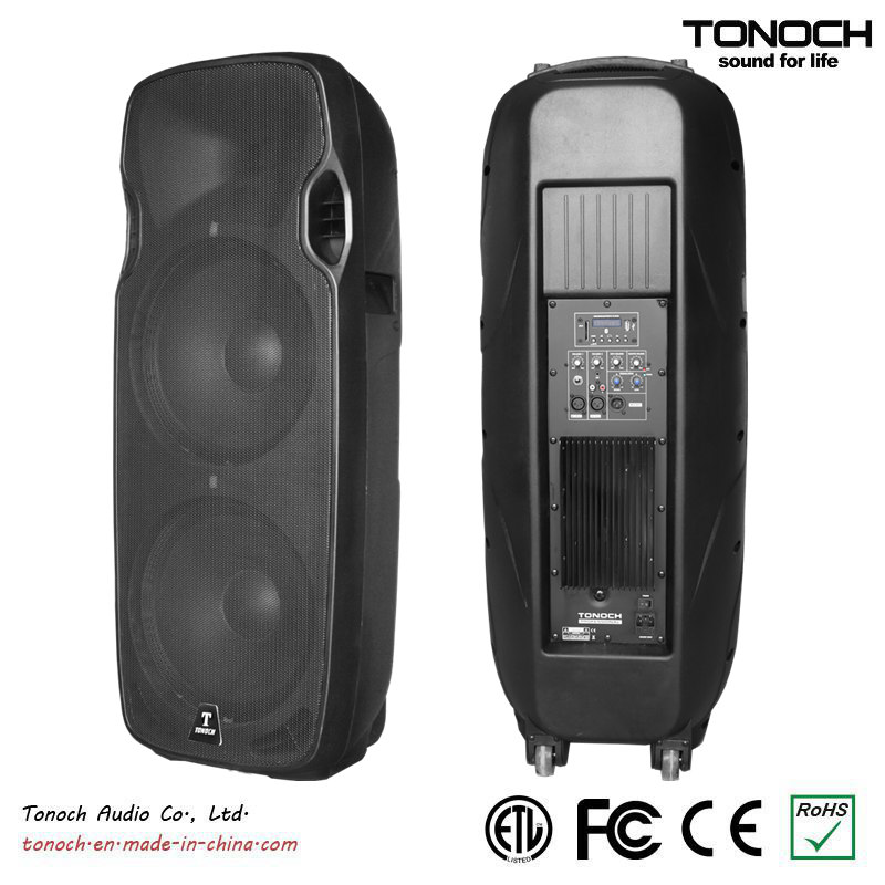 Hot Sales Dual 15 Inches Plastic PA Speaker (ES215UB)