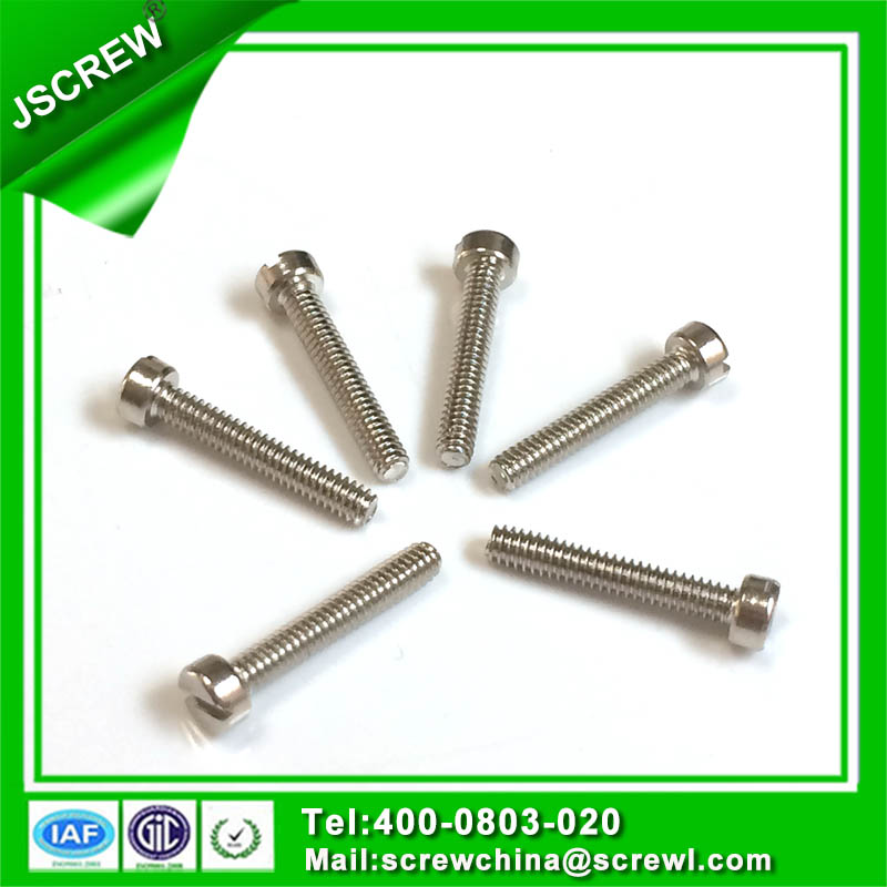 Slotted Cap Head Stainless Steel Screw