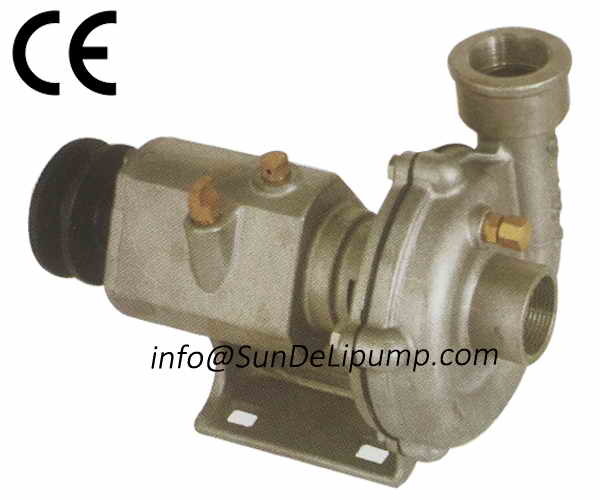 Stainless Steel Cummins Marine Diesels Engines Sea Water Pumps China