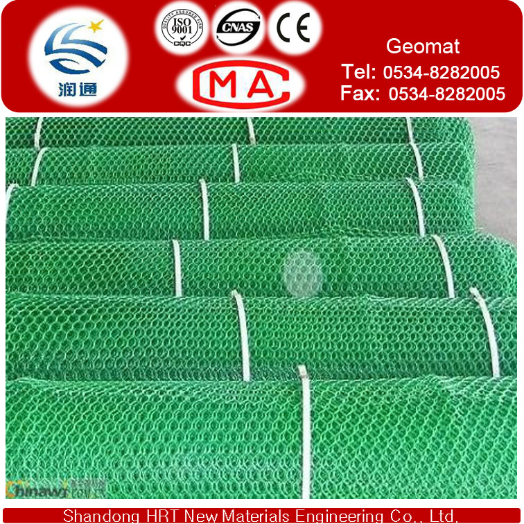 Protecting Vegetation Plastic Geomat to Fixed Water and Soil