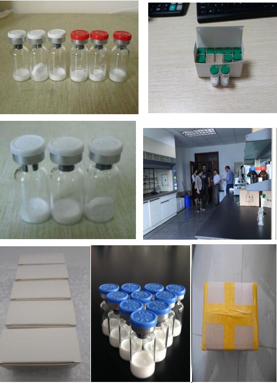 Lab Supply Pharmaceutical Peptide 2mg/Vial Cjc 1295 Without Dac for Loss Weight