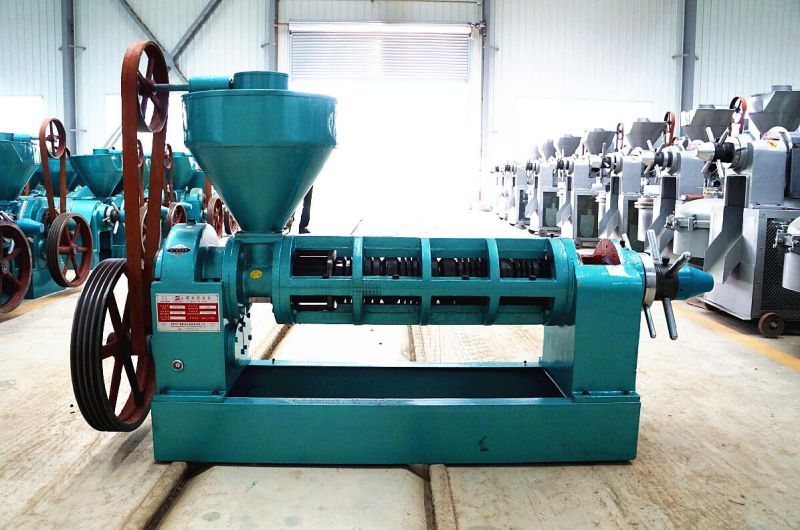 Guangxin Yzyx120-8 Canola Oil Press Machine