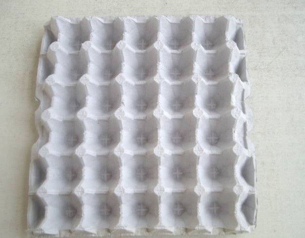 Small Output Egg Carton Machine