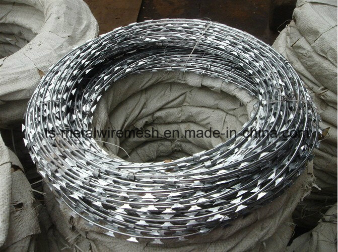 Low Price Galvanized Razor Barbed Wire