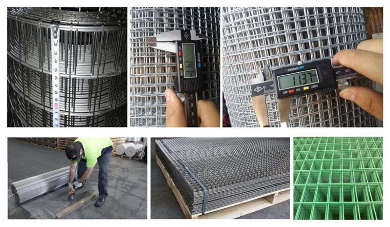 Galvanized/ PVC Coated Welded Wire Mesh