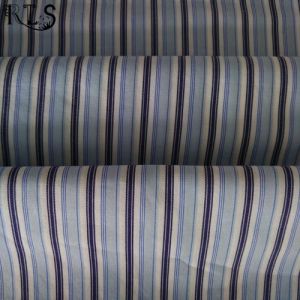 100% Cotton Poplin Woven Yarn Dyed Fabric for Shirts/Dress Rls50-26po