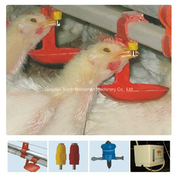 Full Set Poultry Farm Equipment for Chicken Production