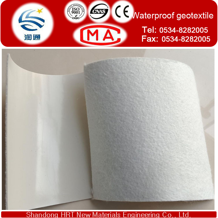 Other Earthwork Products Type Waterproof Membrane Type Coated with Nonwoven Fabric