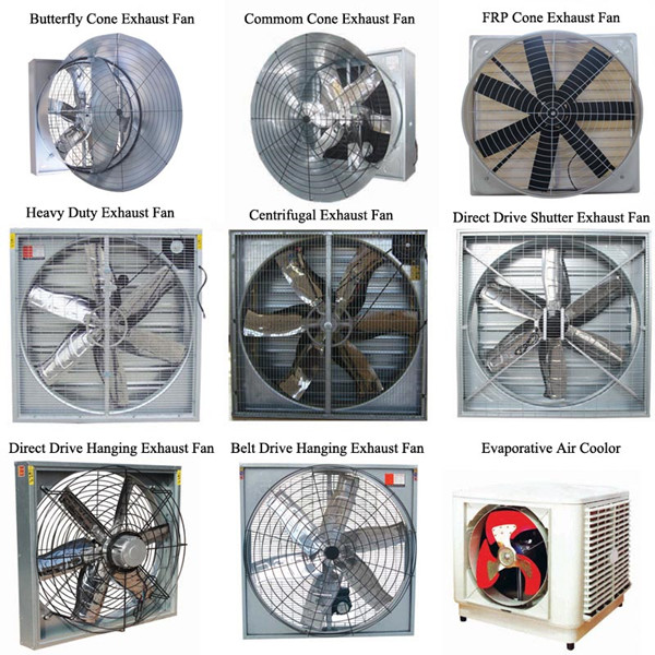 Poultry Farming Industrial Ventilation Exhaust Fan for Sale Low Price